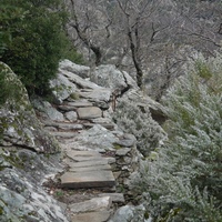 Photo de france - La randonnée du Mont Caroux